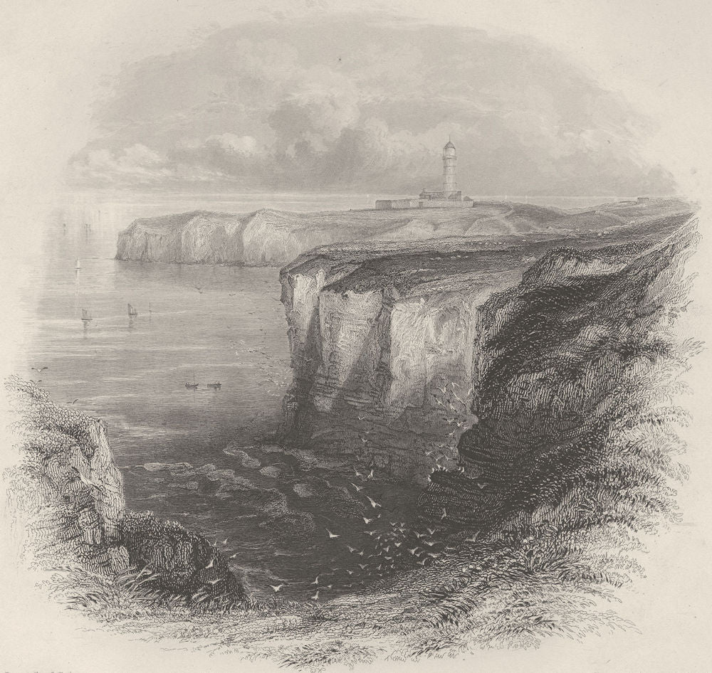 Flamborough-head, with the lighthouse. Yorkshire. FINDEN 1842 old print